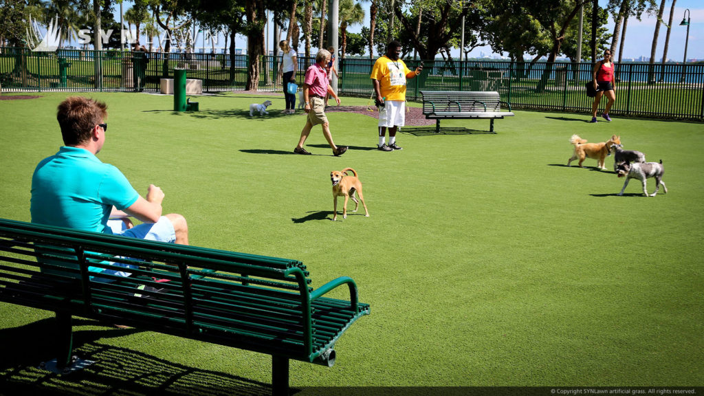 Artificial grass dog park from SYNLawn