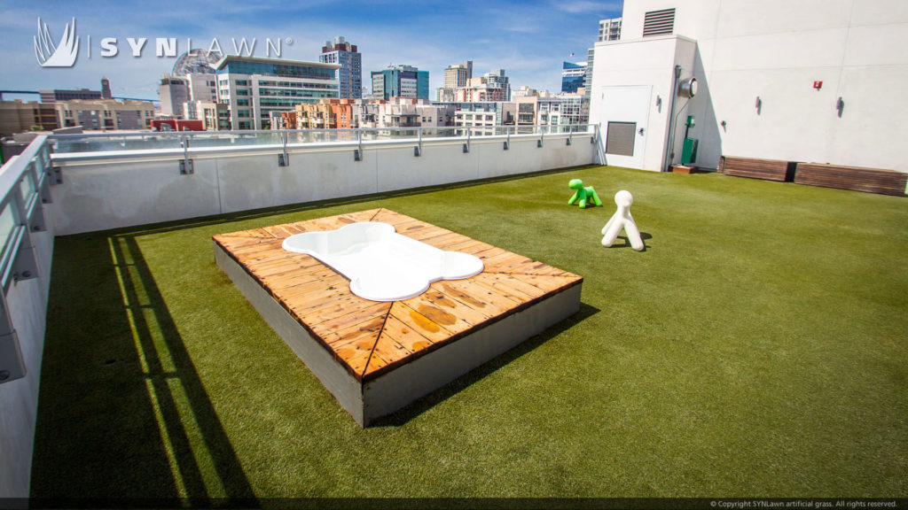 Artificial grass rooftop dog park from SYNLawn