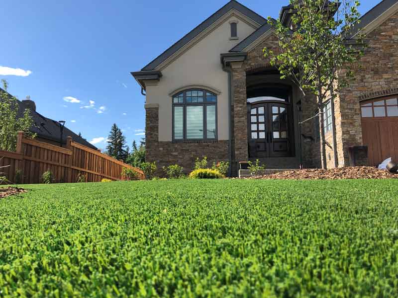 Artificial grass backyard installed by SYNLawn