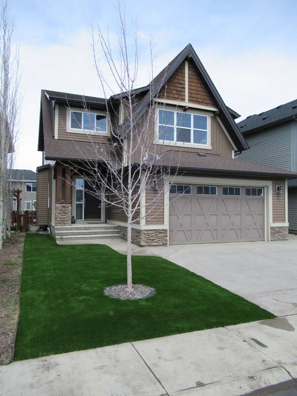 Artificial grass front lawn