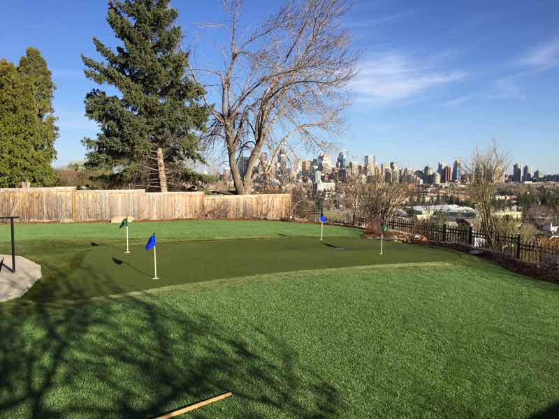 Backyard Putting Green