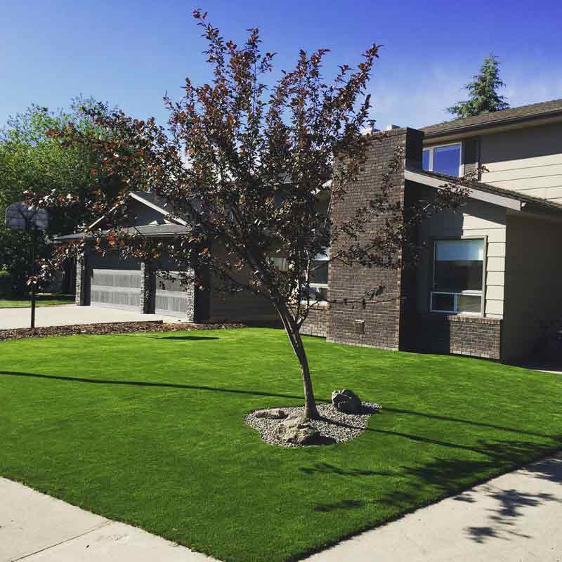 Artificial Grass front yard