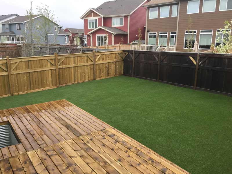 Backyard with an artificial lawn