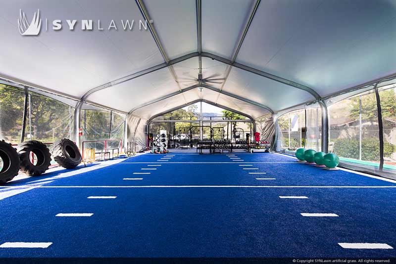 Blue artificial grass indoor athletic field