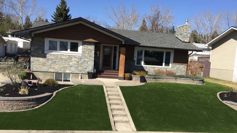 Artificial grass front yard