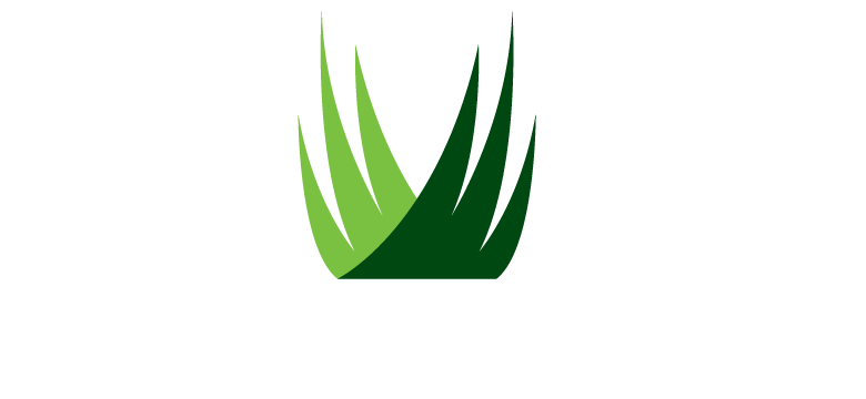 SYNLawn