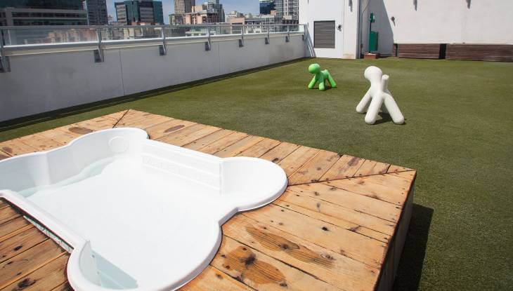 Artificial grass rooftop dogpark