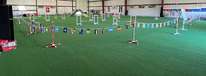 Indoor dog run isntalled by SYNLawn